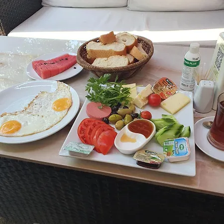 Yourte Hony